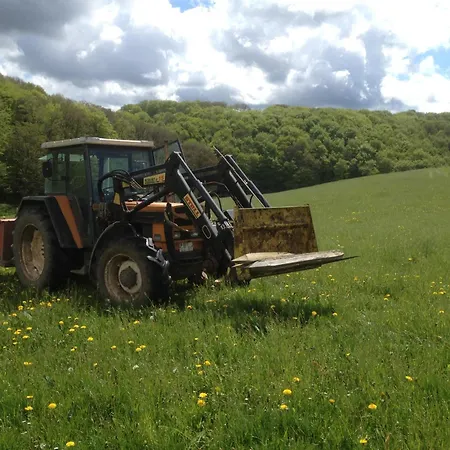 Apartment Kribs Herzstück